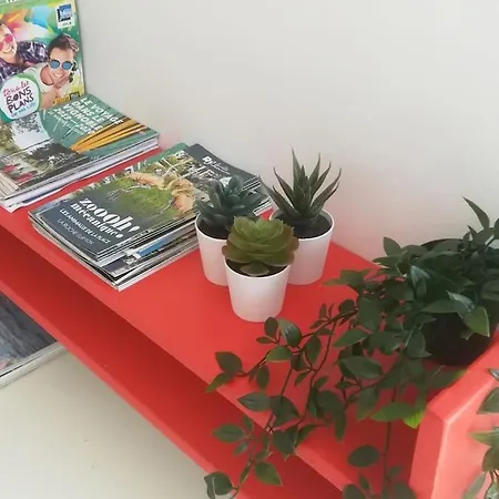 Nid Du Masse Avec Parking * Nantes