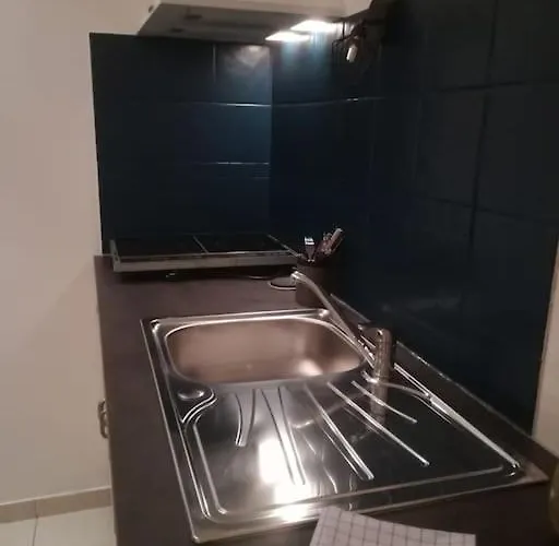 Nid Du Masse Avec Parking * Nantes